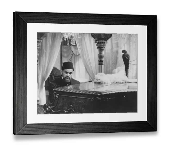 Framed Print : abd1936 bw pri 023