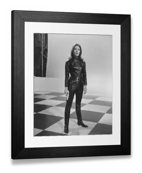Framed Print : ave ame tit bw pri 003 Framed Print : ave ame tit bw pri 003