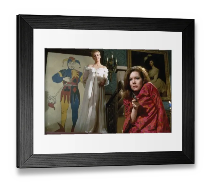Framed Print : ave5 jok co tra 002 Framed Print : ave5 jok co tra 002