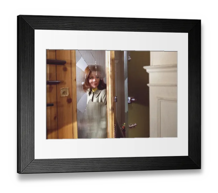 Framed Print : ave5 jok co tra 003