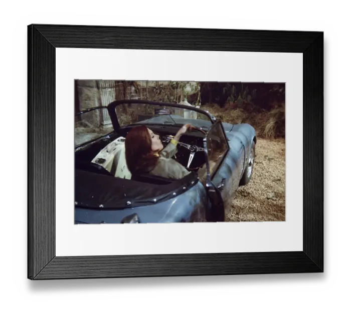 Framed Print : ave5 jok co tra 004 Framed Print : ave5 jok co tra 004