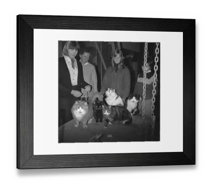 Framed Print : ave5 tht bw neg 002 Framed Print : ave5 tht bw neg 002