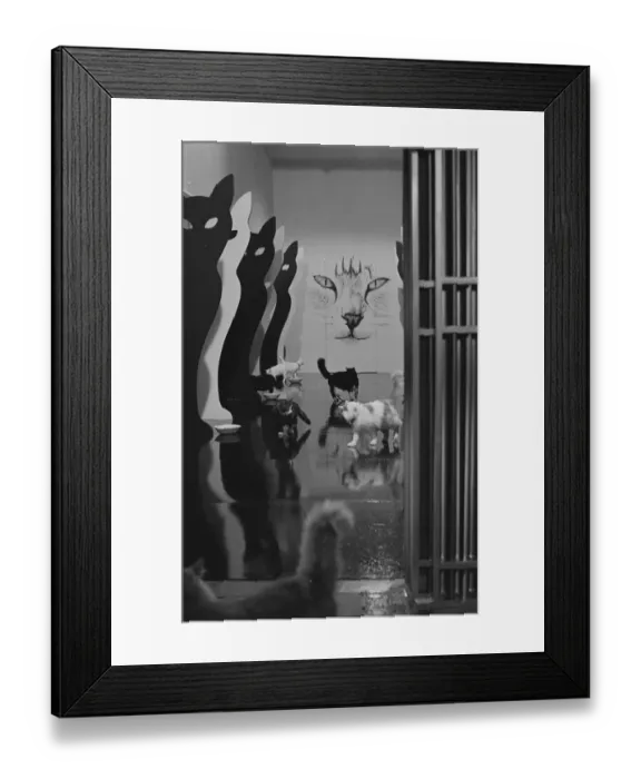 Framed Print : ave5 tht bw neg 003 Framed Print : ave5 tht bw neg 003