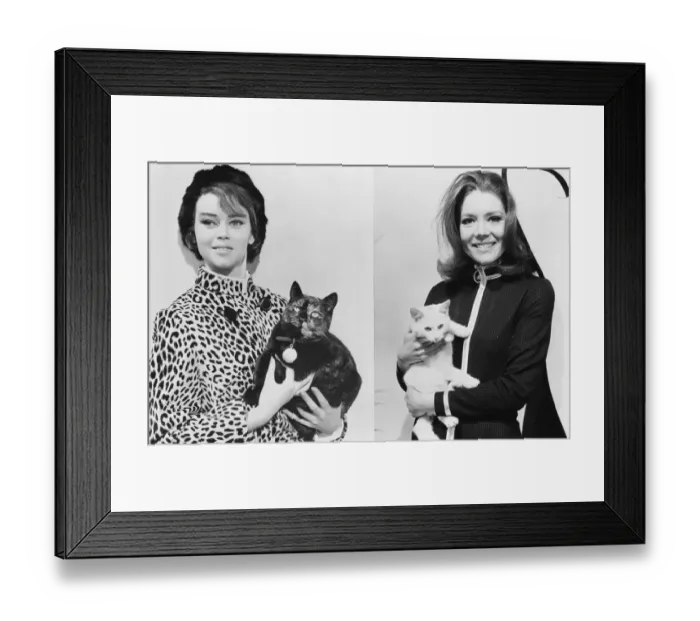 Framed Print : ave5 tht bw neg 012 Framed Print : ave5 tht bw neg 012