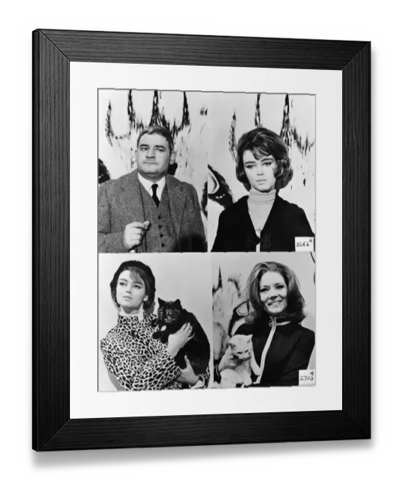 Framed Print : ave5 tht bw neg 015 Framed Print : ave5 tht bw neg 015