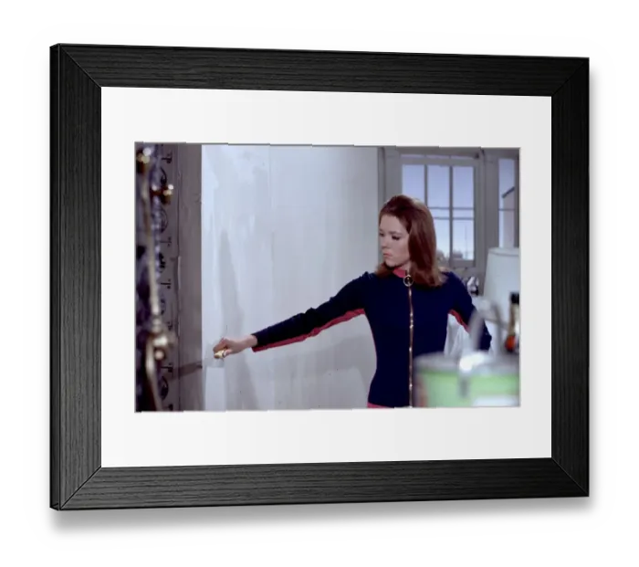 Framed Print : ave rig co tra por 013 Framed Print : ave rig co tra por 013
