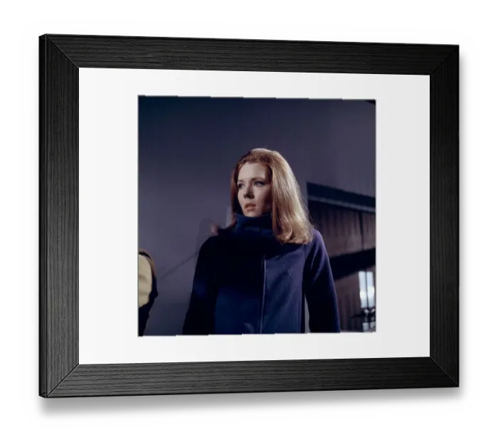 Framed Print : ave rig co tra por 014 Framed Print : ave rig co tra por 014