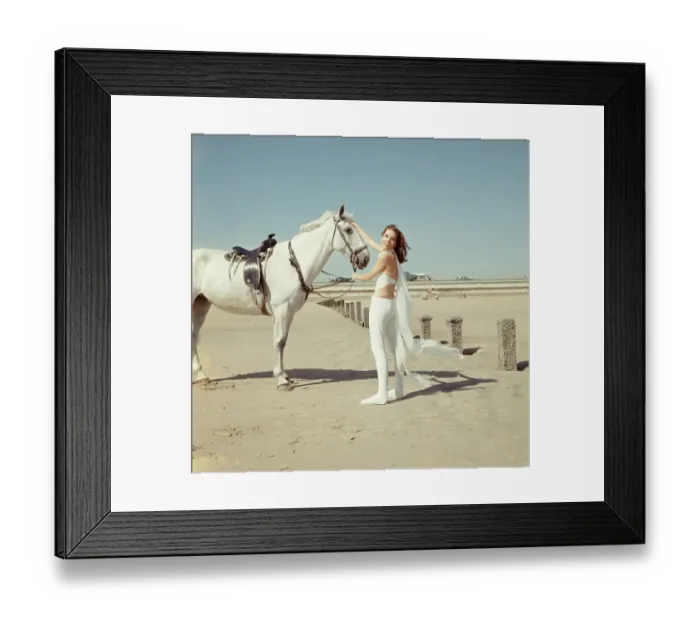 Framed Print : ave bea co tra 006