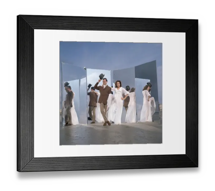 Framed Print : ave bea co tra 008