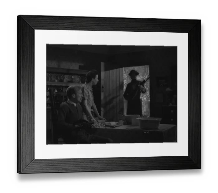 Framed Print : wen1942 bw neg pro 019 Framed Print : wen1942 bw neg pro 019
