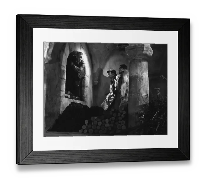 Framed Print : wen1942 bw neg pro 052 Framed Print : wen1942 bw neg pro 052