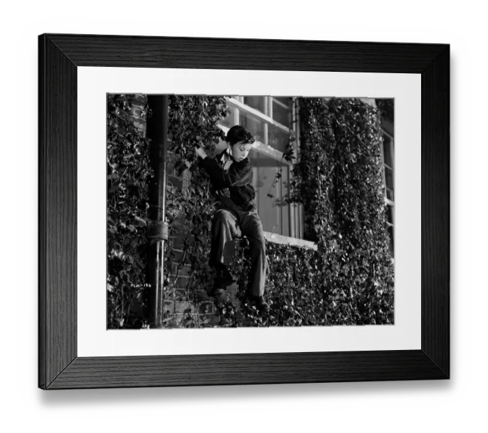 Framed Print : wen1942 bw neg pro 090 Framed Print : wen1942 bw neg pro 090