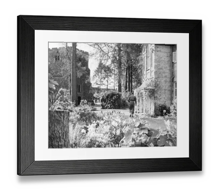 Framed Print : wen1942 bw neg pro 113 Framed Print : wen1942 bw neg pro 113