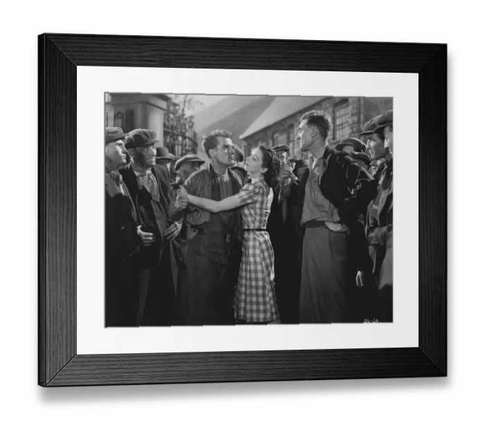 Framed Print : pru1939 bw pri 005