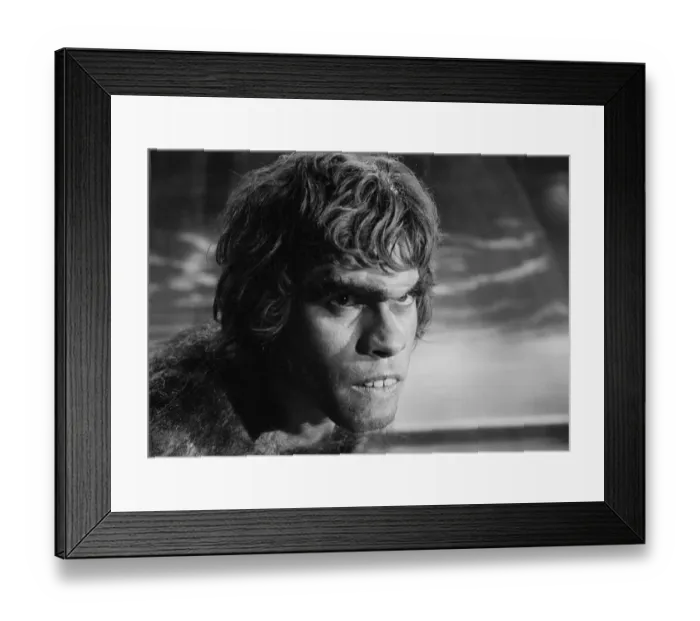 Framed Print : fin1973 bw neg 063