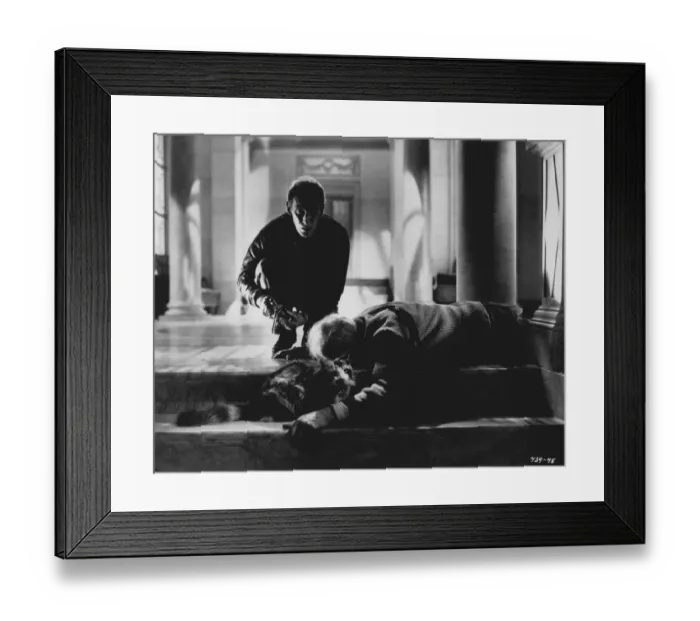 Framed Print : poo1951 bw pri 007 Framed Print : poo1951 bw pri 007