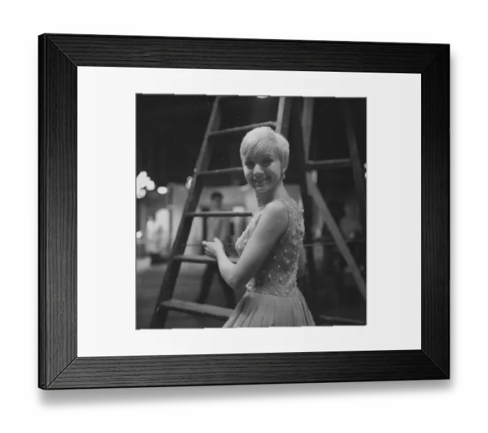 Framed Print : ave2 bot bw pri 002 Framed Print : ave2 bot bw pri 002