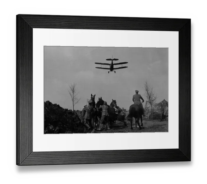 Framed Print : ace1976 bw neg 029 Framed Print : ace1976 bw neg 029