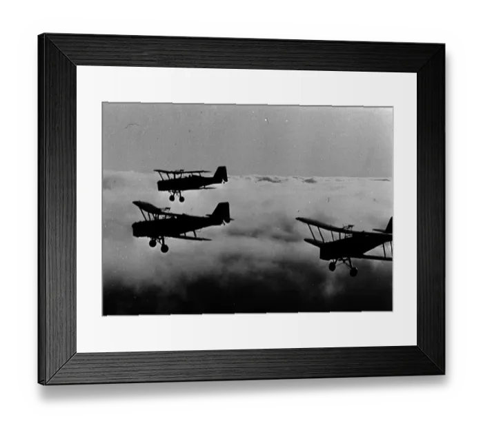 Framed Print : ace1976 bw neg 032 Framed Print : ace1976 bw neg 032