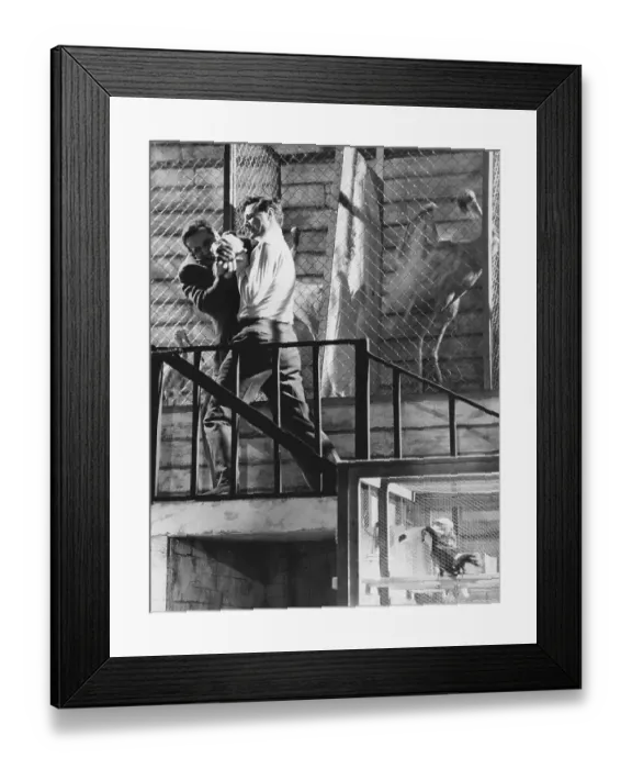 Framed Print : ave3 whe bw pri 001 Framed Print : ave3 whe bw pri 001