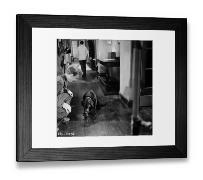 Framed Print : The Dam Busters Framed Print : The Dam Busters