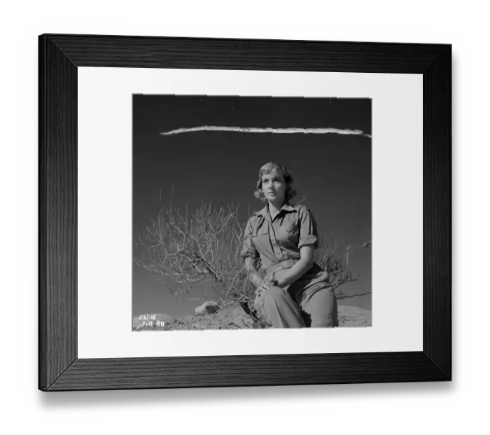 Framed Print : Ice Cold In Alex