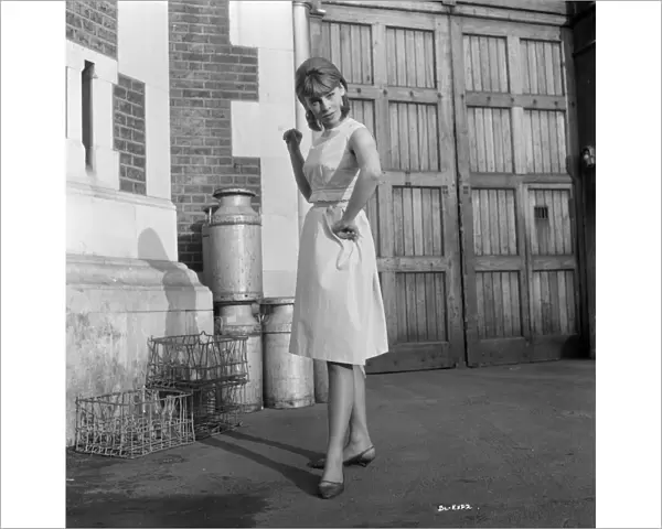 Julie Christie in a portrait for the release of Billy Liar (1963)