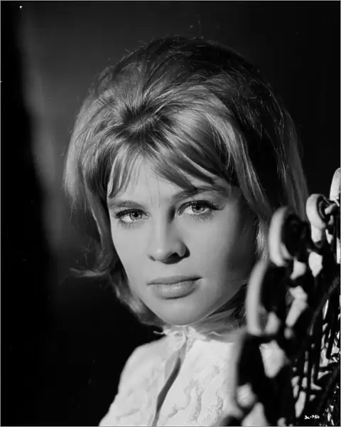 A portrait of a young Julie Christie for the promotion of Billy Liar (1963)