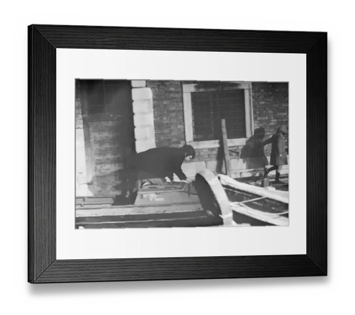 Framed Print : Don t Look Now Framed Print : Don t Look Now