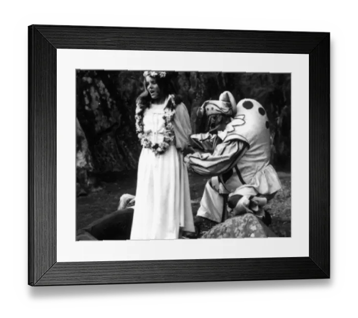 Framed Print : The Wicker Man