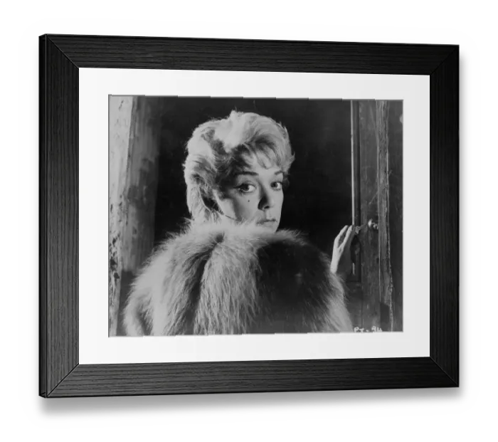 Framed Print : Peeping Tom Framed Print : Peeping Tom