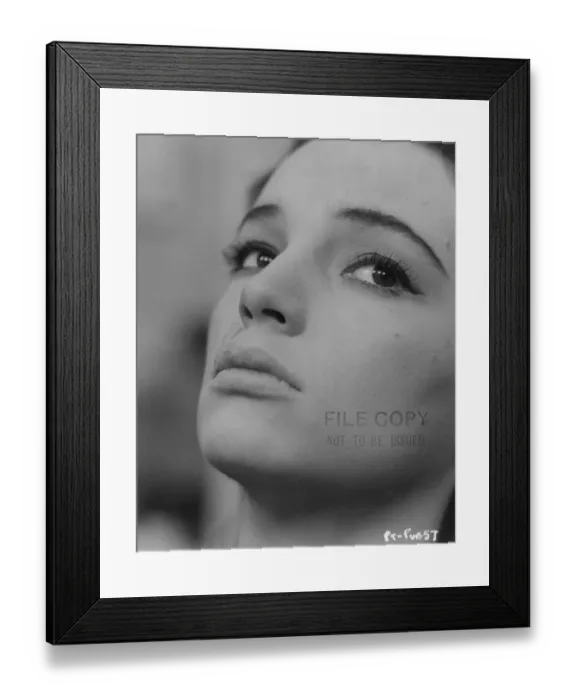 Framed Print : Peeping Tom Framed Print : Peeping Tom