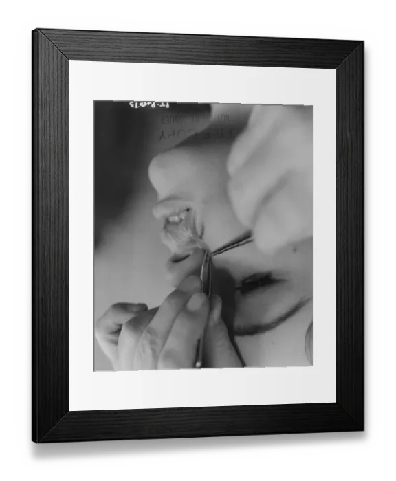 Framed Print : Peeping Tom Framed Print : Peeping Tom