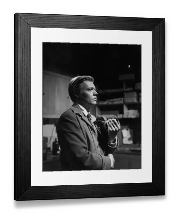 Framed Print : Peeping Tom Framed Print : Peeping Tom