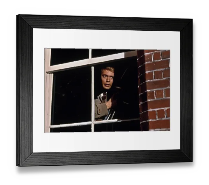 Framed Print : Peeping Tom Framed Print : Peeping Tom