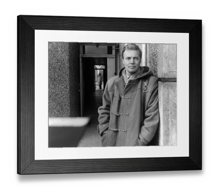 Framed Print : Peeping Tom Framed Print : Peeping Tom