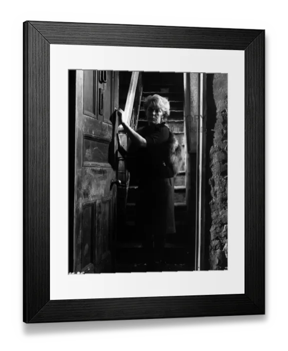 Framed Print : Peeping Tom Framed Print : Peeping Tom