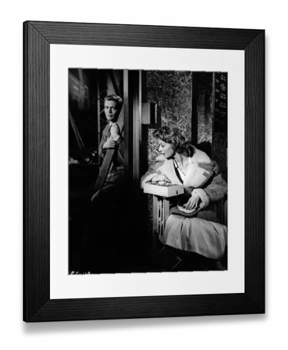 Framed Print : Peeping Tom Framed Print : Peeping Tom