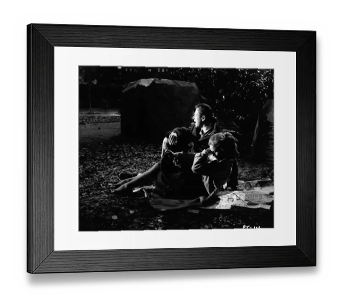 Framed Print : Peeping Tom Framed Print : Peeping Tom
