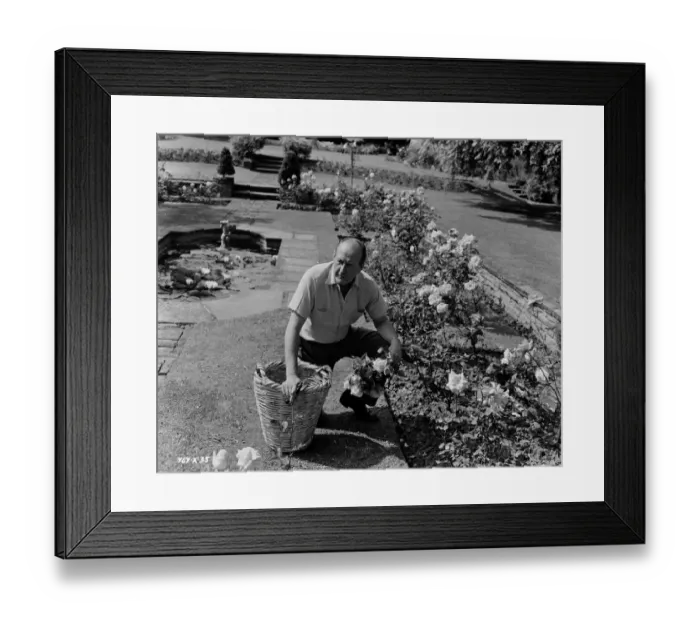 Framed Print : The Lady Killers Framed Print : The Lady Killers