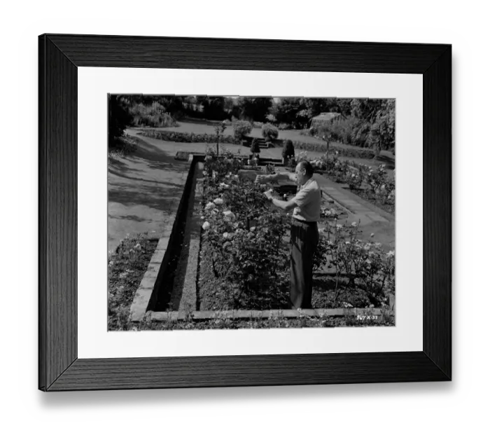 Framed Print : The Lady Killers Framed Print : The Lady Killers