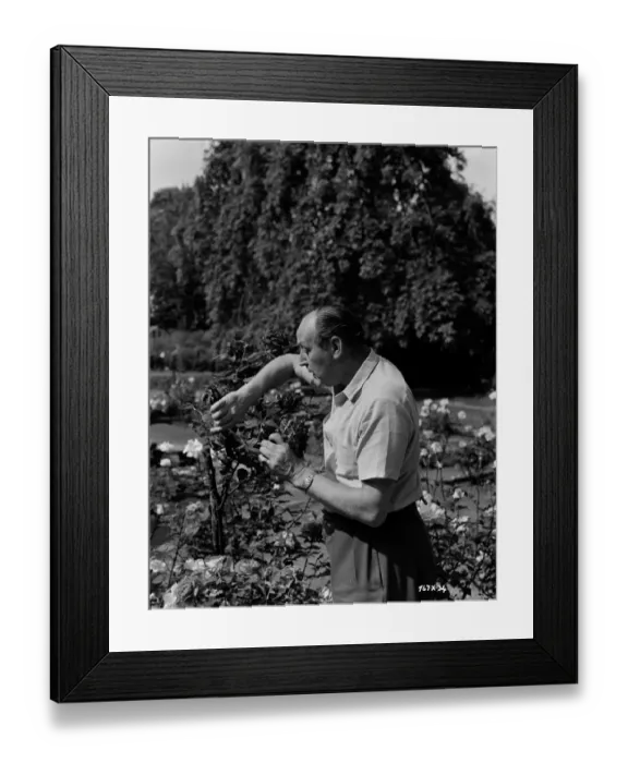 Framed Print : The Lady Killers Framed Print : The Lady Killers