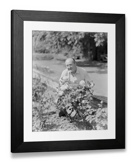 Framed Print : The Lady Killers Framed Print : The Lady Killers