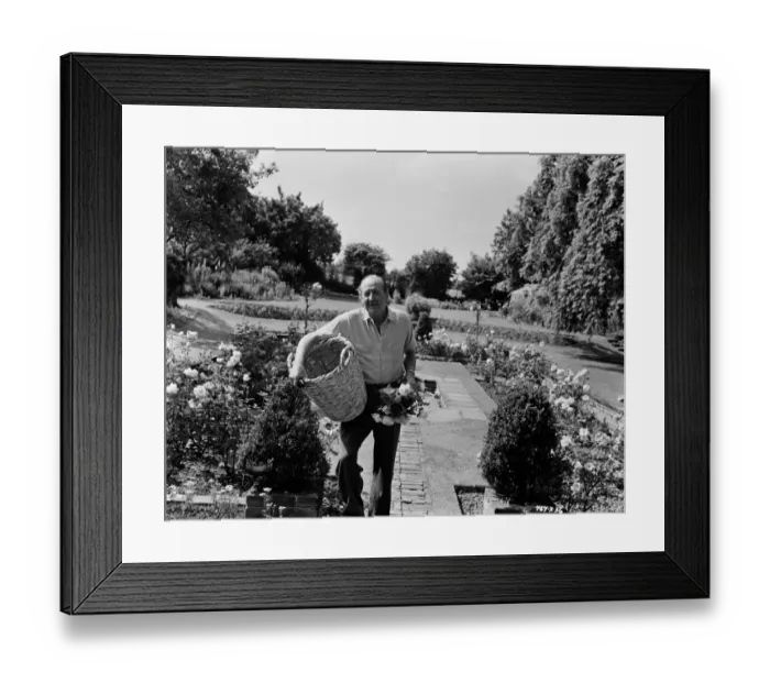 Framed Print : The Lady Killers Framed Print : The Lady Killers
