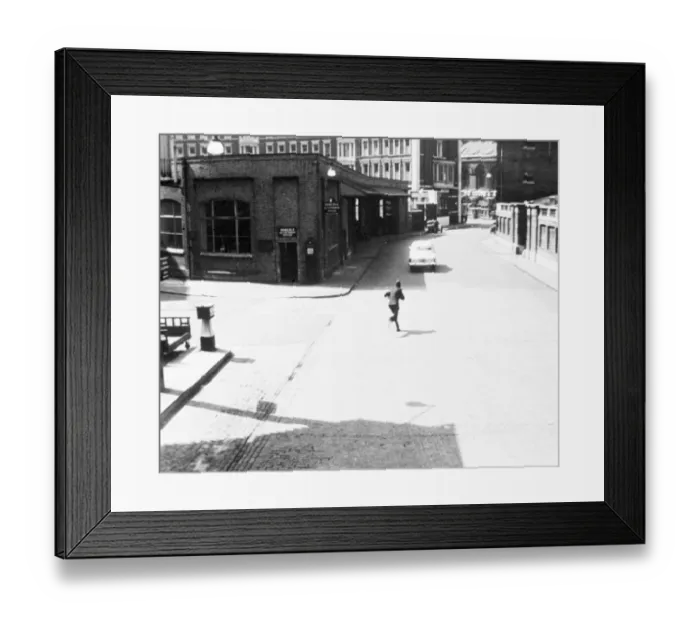 Framed Print : The Lady Killers
