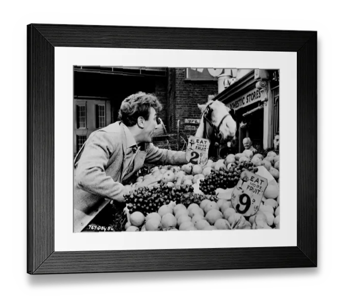 Framed Print : The Lady Killers Framed Print : The Lady Killers