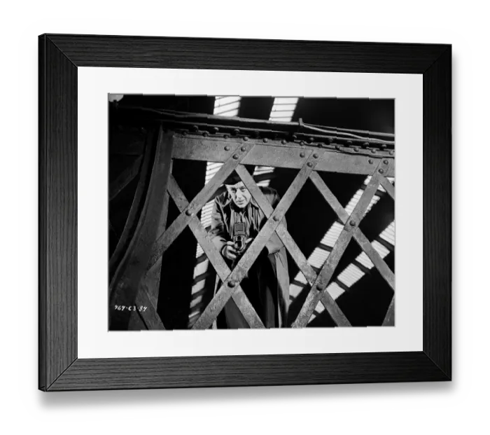 Framed Print : The Lady Killers Framed Print : The Lady Killers