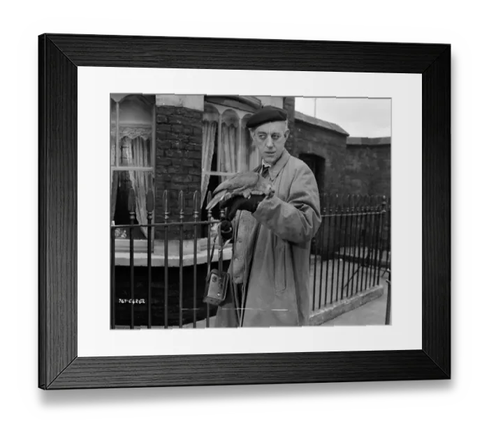 Framed Print : The Lady Killers Framed Print : The Lady Killers
