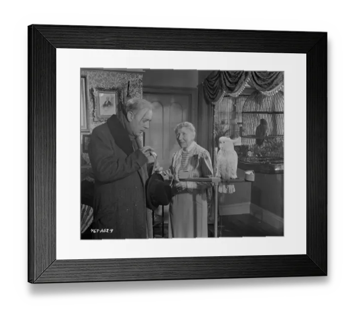 Framed Print : The Lady Killers Framed Print : The Lady Killers
