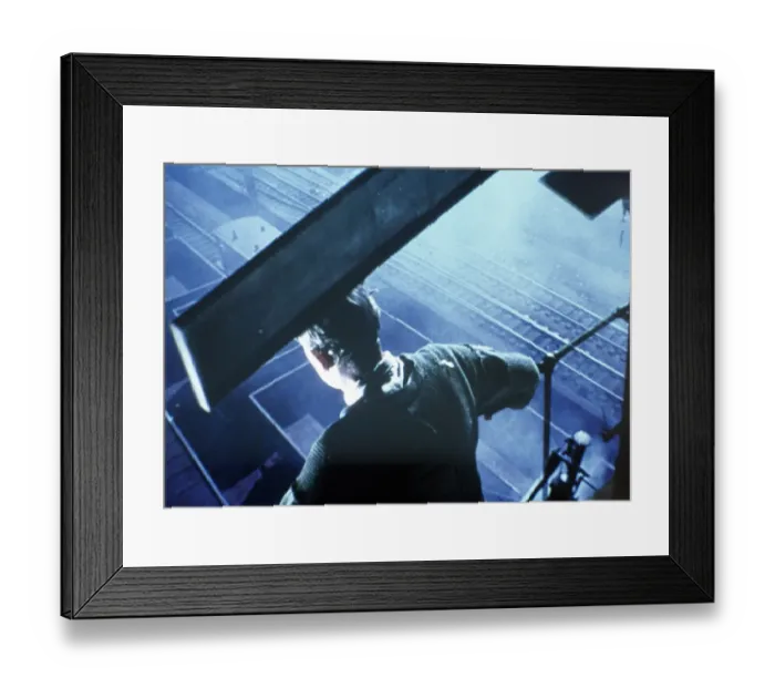 Framed Print : The Lady Killers